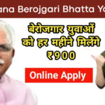 Haryana Berojgari Bhatta Yojana: शिक्षित बेरोजगार युवाओं के लिए आर्थिक सहायता